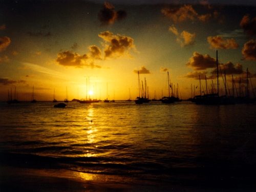 image3.jpg (140019 bytes)