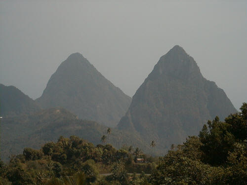 image3.jpg (33495 bytes)