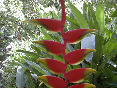 image4.jpg (40532 bytes)