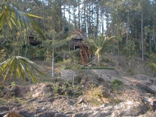 image6.jpg (37535 bytes)