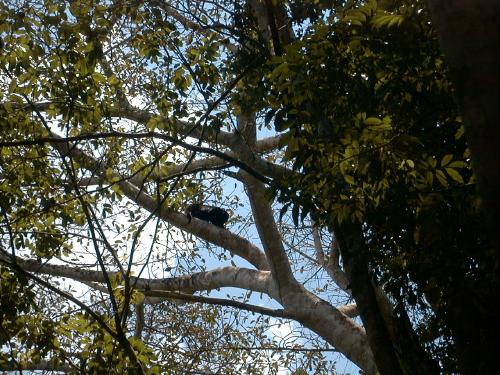 Image8a.jpg (251188 bytes)