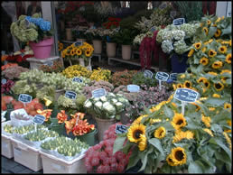 Bloomen Market